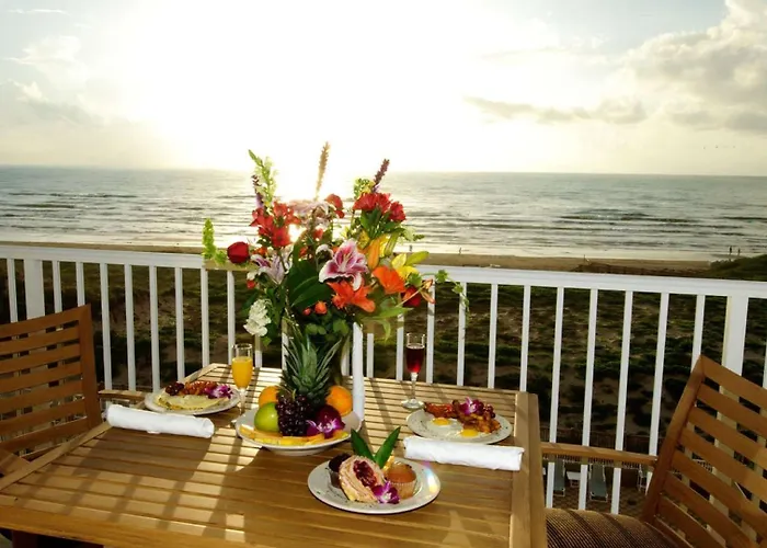Pet Friendly hotel: Hilton Garden Inn South Padre Island Beachfront